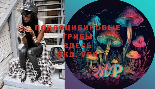 стаф Аркадак
