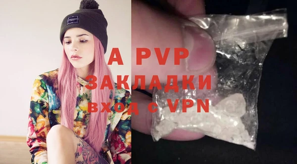 стаф Аркадак