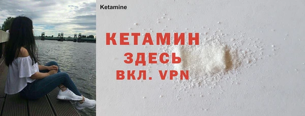 стаф Аркадак