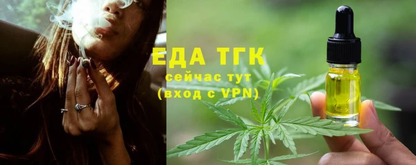 шишки Сатка