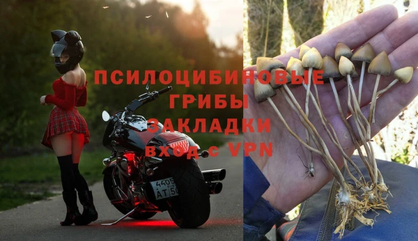 герыч Арсеньев