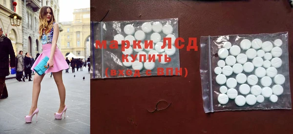 шишки Сатка